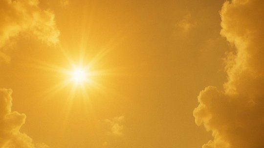 Cod galben de caniculă