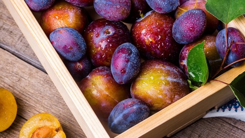 Copiilor „nu li se dau la școală fructe și legume proaspete”