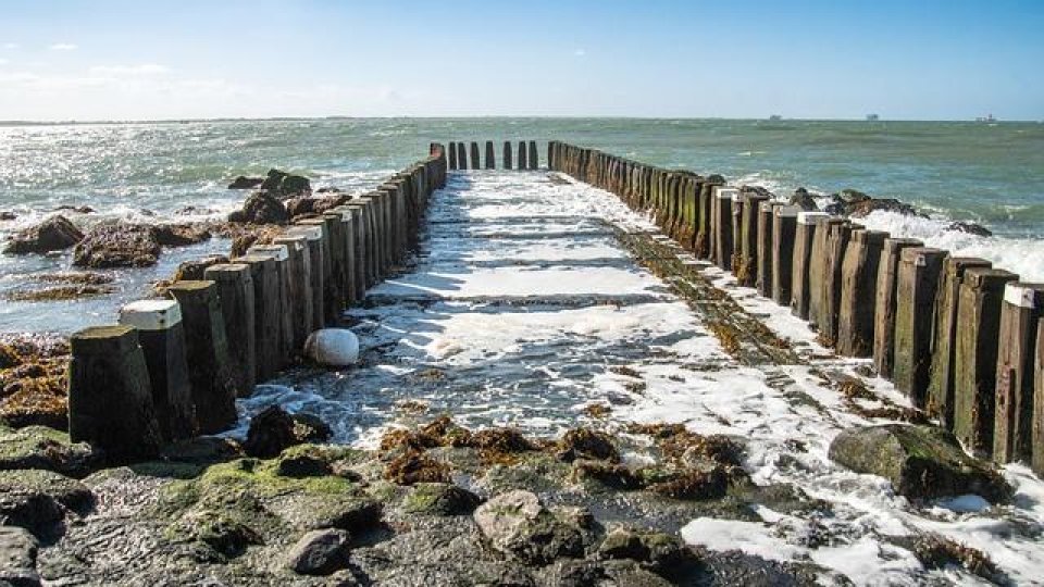 Pajişti de iarbă de mare şi recife artificiale în zonele Eforie, Olimp, Jupiter, Neptun şi Venus