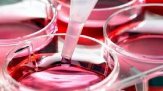 110.000 de oameni sunt înregistraţi în Registrul Naţional al Donatorilor Voluntari de Celule STEM