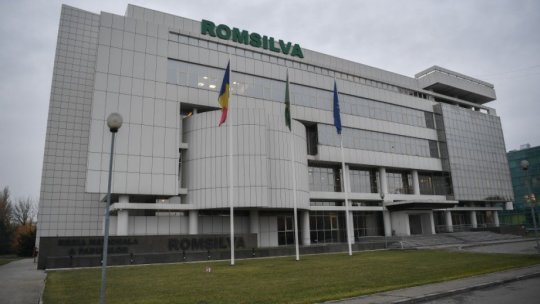 Guvernul pregăteşte reorganizarea Romsilva prin modificarea Codului silvic