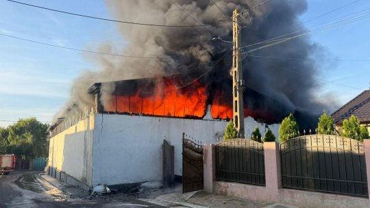 Incendiu la o fabrică de peleți din localitatea Şendreni, județul Galați