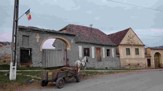Bulgaria, România şi Germania, codașe la alfabetizarea digitală rurală