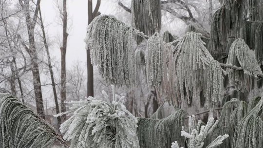 Valul de frig va persista până la jumătatea acestei săptămâni