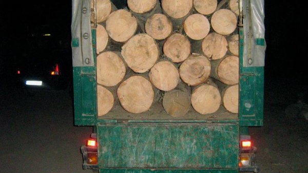 Aplicația sistemului de urmărire a materialului lemnos, SUMAL, a fost actualizată