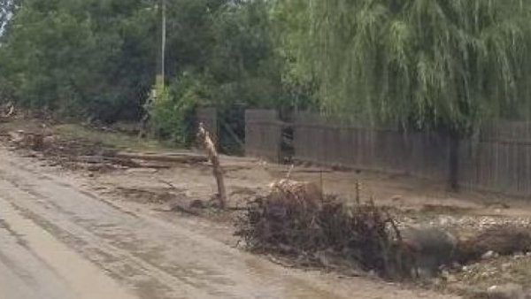 O cantitate mare de deşeuri a fost adusă de apă în apropierea oraşului Orşova din judeţul Mehedinţi