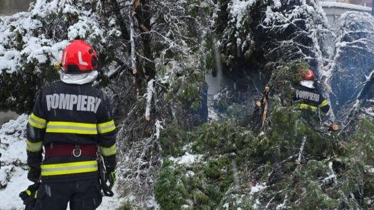 Avertizare cod galben de ninsoare și vânt