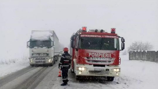 Ninsoare abundentă în Timișoara. Autobuze blocate de zăpadă în Satu Mare