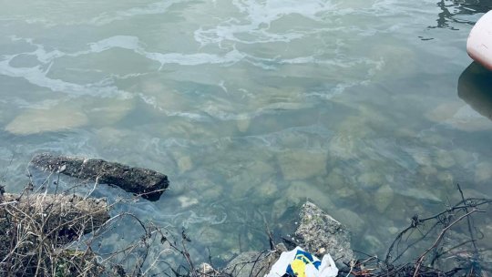 Poluare pe Dunăre, în dreptul localităţii Moldova Nouă