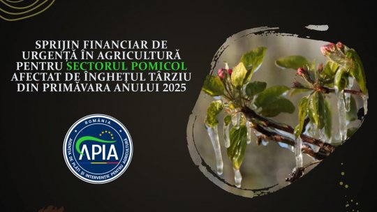 Cereri de sprijin pentru sectorul pomicol afectat de îngheţ