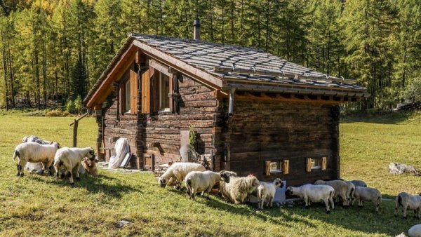 Socond și Beltiug, două comune din județul Satu Mare, ar putea forma o singură unitate administrativă