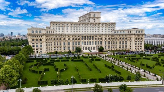 Parlamentarii propun completarea legii privind protejarea animalelor