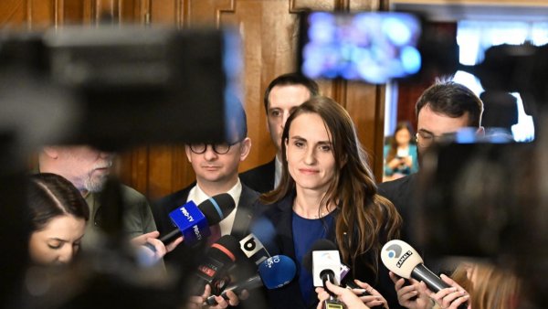 Ministrul de externe, Oana Ţoiu, a fost audiată în Parlament