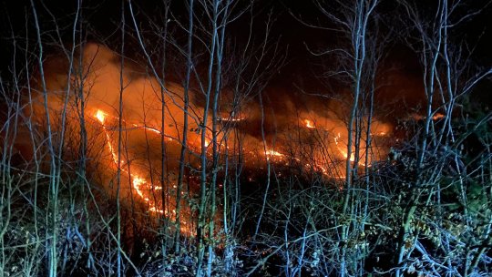 Satu Mare: incendiu de vegetație pe raza localității Racșa