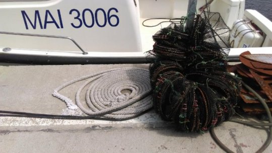 Operațiuni de căutare și salvare în Portul Midia