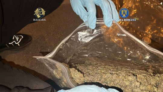 Galați: Colet cu canabis, interceptat de polițiști