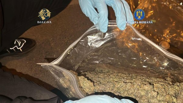 Galați: Colet cu canabis, interceptat de polițiști
