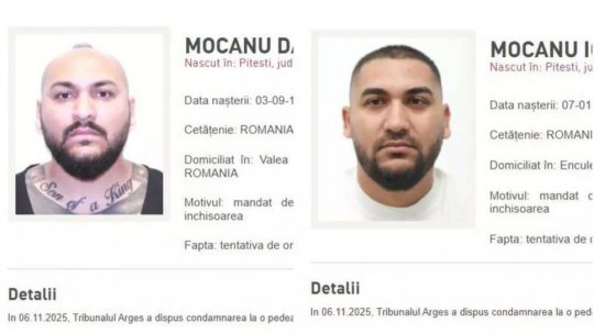 Dani Mocanu și fratele său, aduși în România sub escorta poliției
