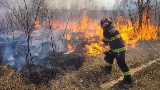 Sibiu: Incendiu de vegetație uscată pe o sută de hectare