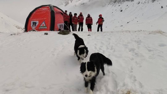 Unitățile canine Salvamont sunt la pregătire în Munții Făgăraș
