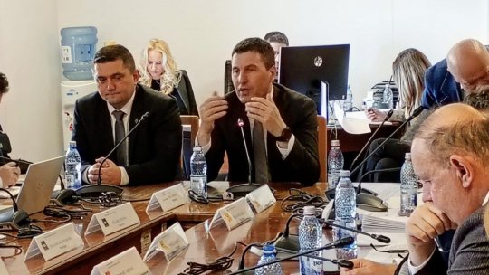 Proiectul privind reducerea efectivelor de urși bruni, adoptat de Senat