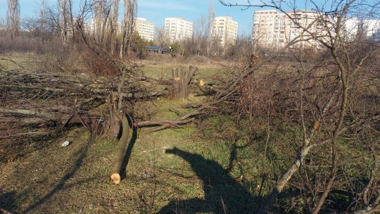 Igienizarea terenurilor prin ardere “este o practică ilegală”