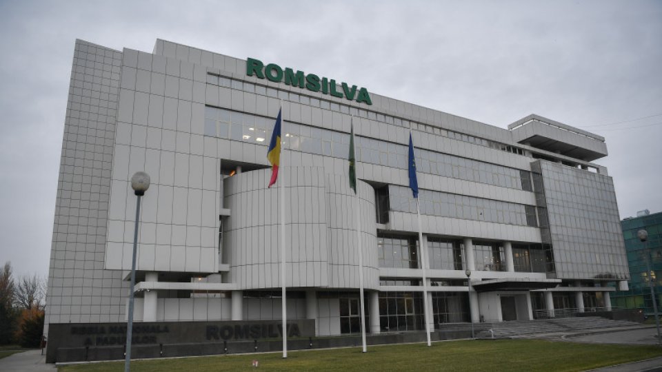La Romsilva, „plăţi necuvenite şi subevaluarea patrimoniului”