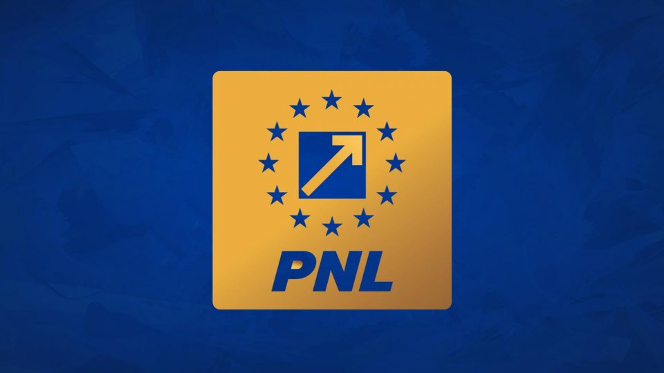PNL îşi alege noua conducere