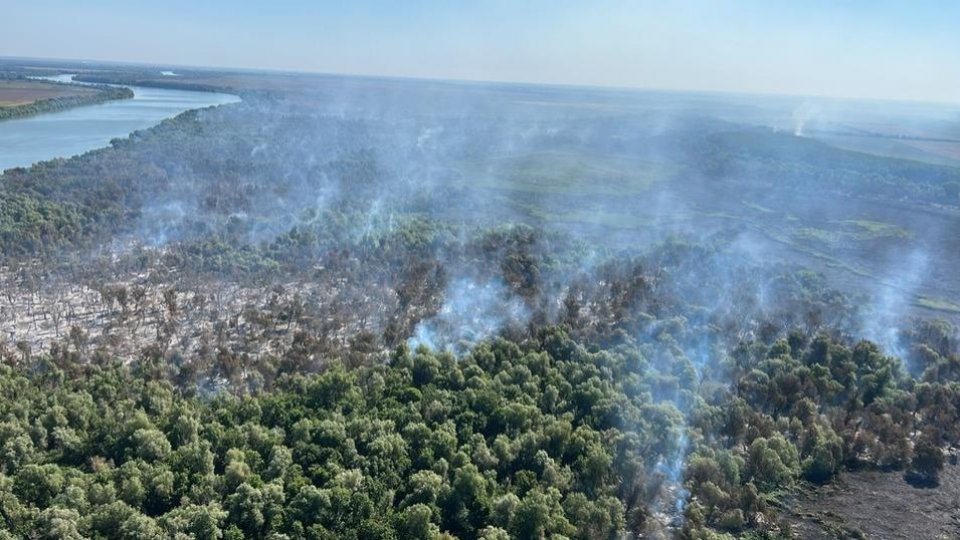 Intervenție dificilă a pompierilor în Delta Dunării