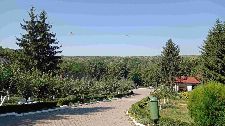 Primul cod roșu al acestei veri, valabil în trei județe din sud-vestul țării