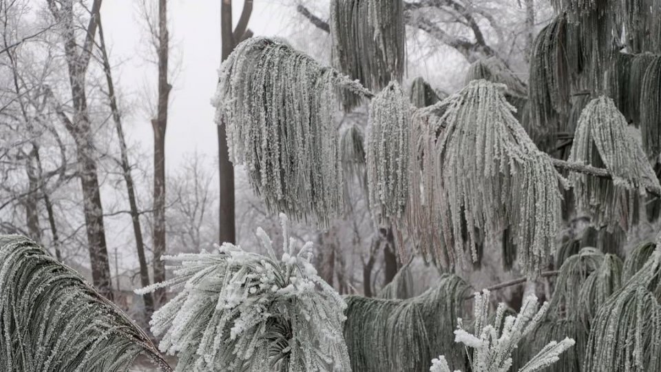 Un val de frig va afecta cea mai mare parte a României