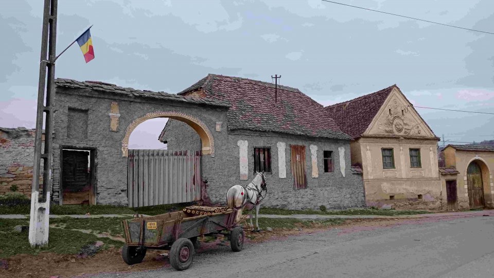 Bulgaria, România şi Germania, codașe la alfabetizarea digitală rurală