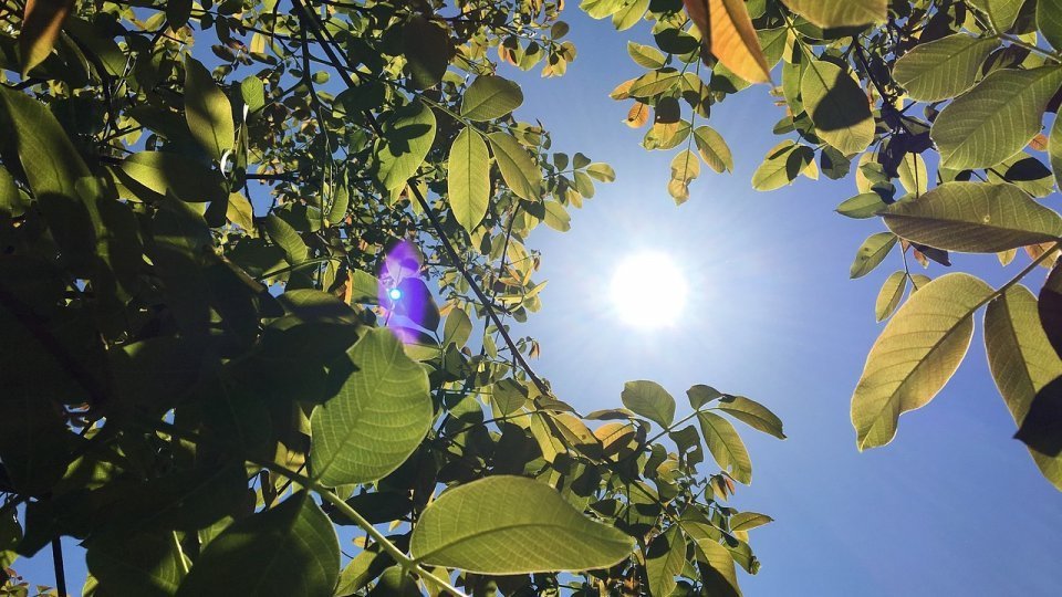 Vreme frumoasă duminică, în ziua alegerilor