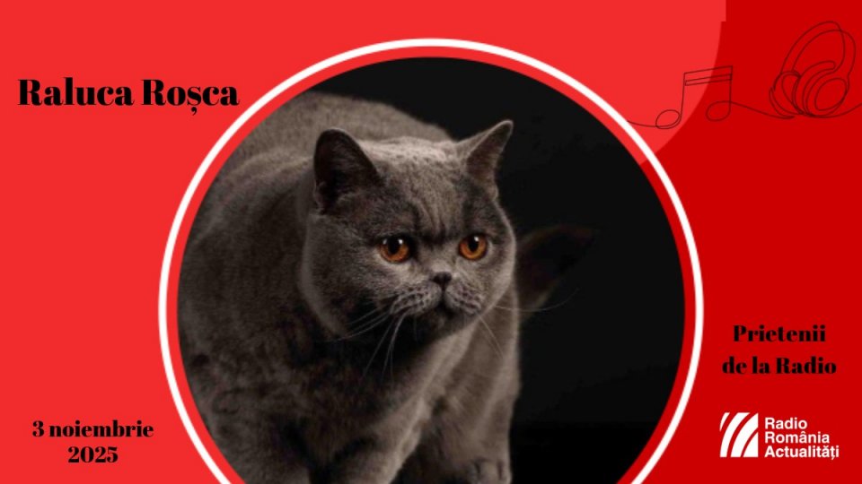 Raluca Roșca şi cea mai frumoasă pisică din lume, între #prieteniidelaradio