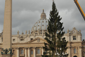 Bradul de Crăciun a ajuns  &icirc;n Piazza San Pietro din Vatican.