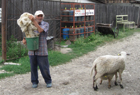 Primul donator la fondul Solidaritatea, fermierul Constantin Crăciun.