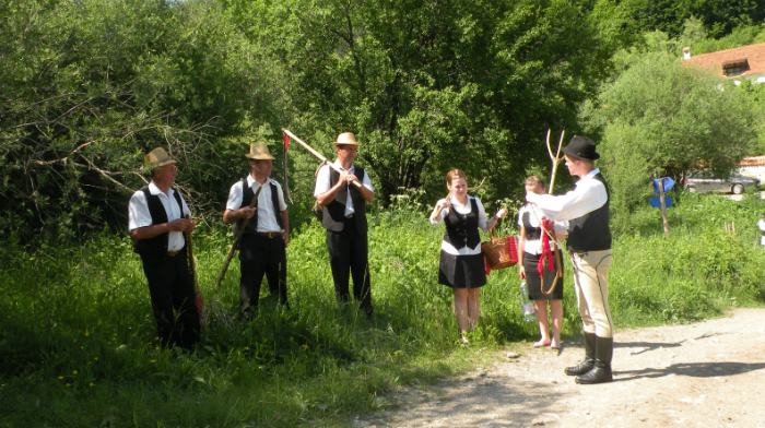 
Valea Zalanului.