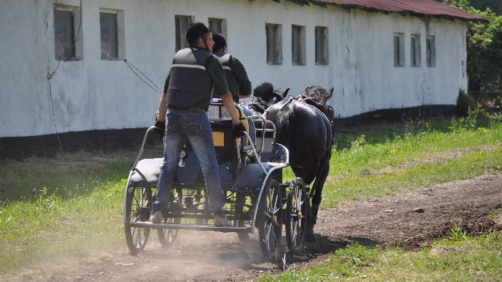 Campionatul Naţional de Atelaje, Beclean 2016.
