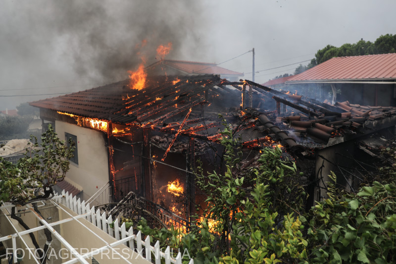 Incendiile din Grecia, iulie 2018.