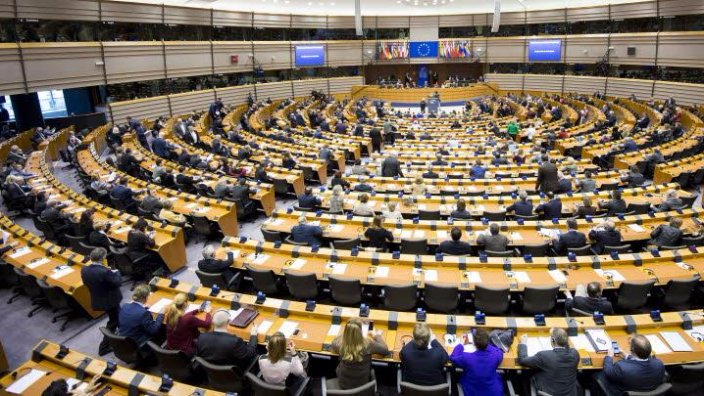 Parlamentul European &icirc;n plen.