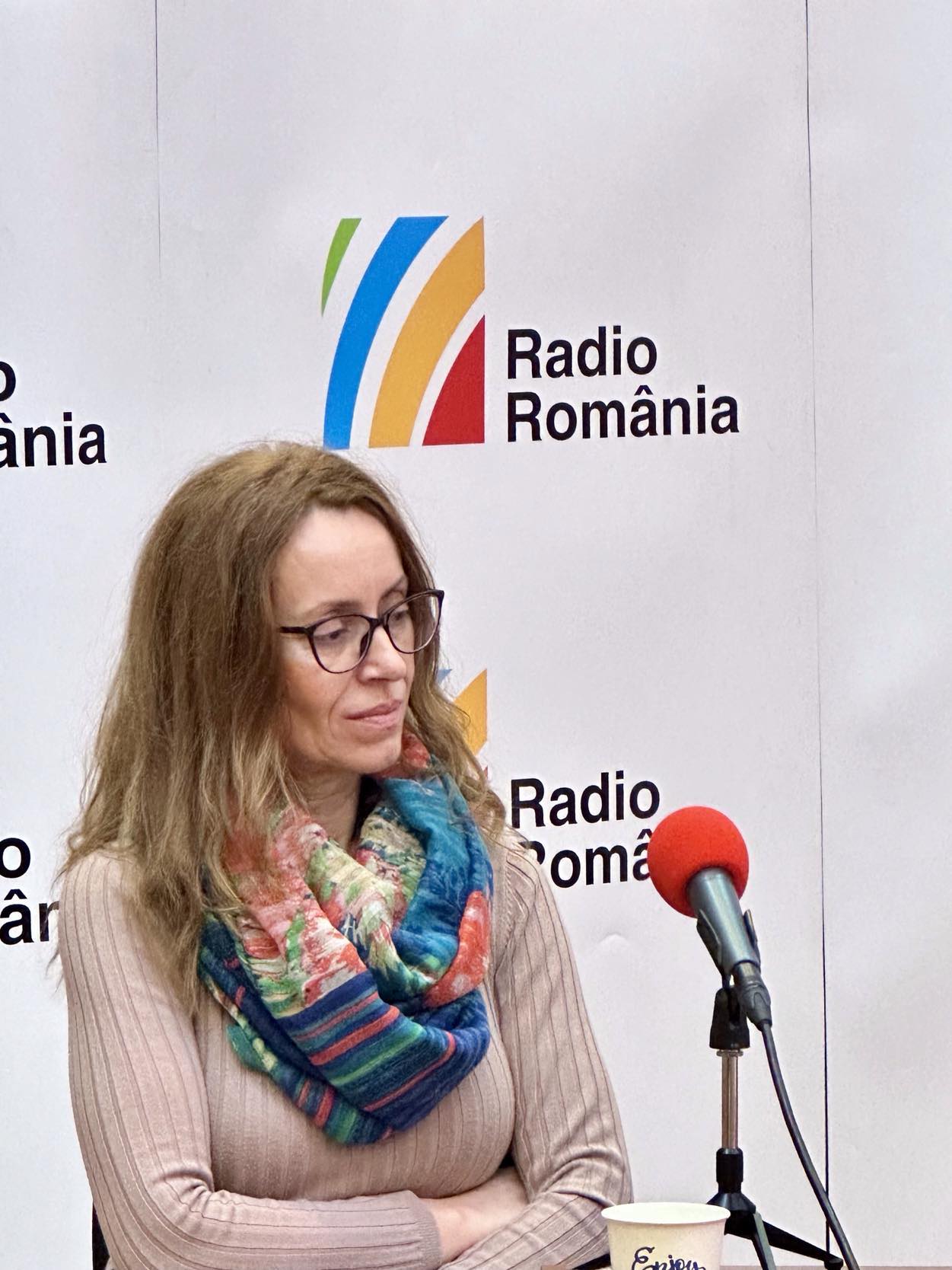 Jurnalista Monica Ghiță-Stoica.