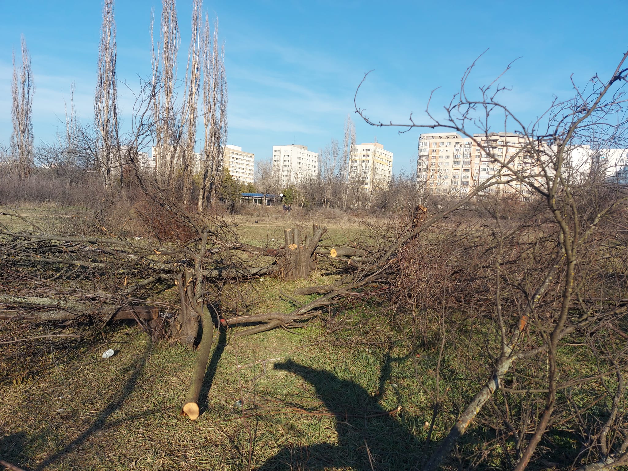 Zona retrocedată din parcul IOR este afectată de tăieri de copaci și incendii, București, martie 2023.