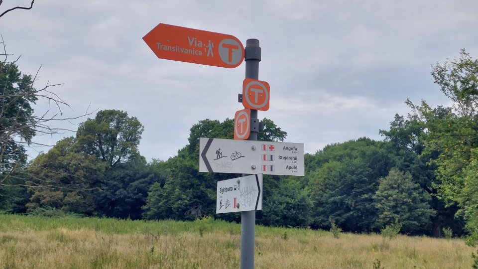 Indicator pe Via Transilvanica.